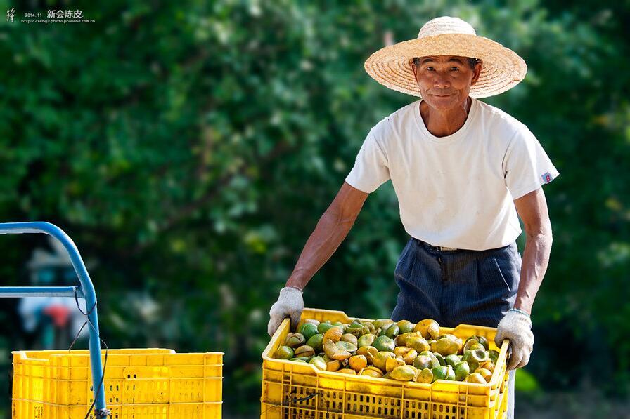 十大新媒体广告投放平台盘货!每个广告主都值得收藏!-开云电竞(图1) 开云电竞