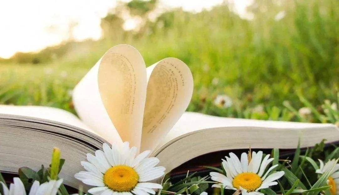 开云电竞官方网站-
学历越高素质越好是真的吗?(图7) 开云电竞官方网站-
学历越高素质越好是真的吗?(图7)