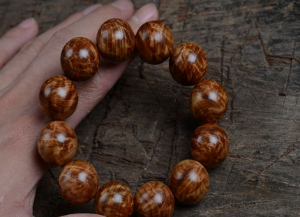 开云电竞官方网站