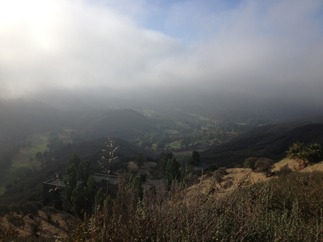 开云电竞官网_未来霸权!《终末的后宫》漫画销量引关注(图2) 开云电竞