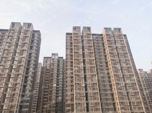 《正确认识广告》优秀教学设计“开云电竞”(图3) 开云电竞