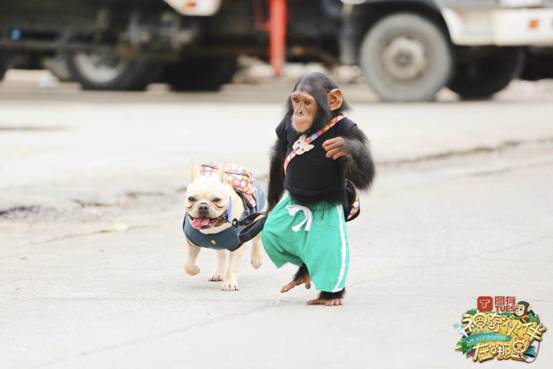 开云电竞官方网站