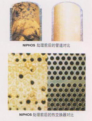 ‘开云电竞官网’真会玩!明星COS海贼王毫不示弱? 成龙小丑辣眼睛(图2) 开云电竞官网