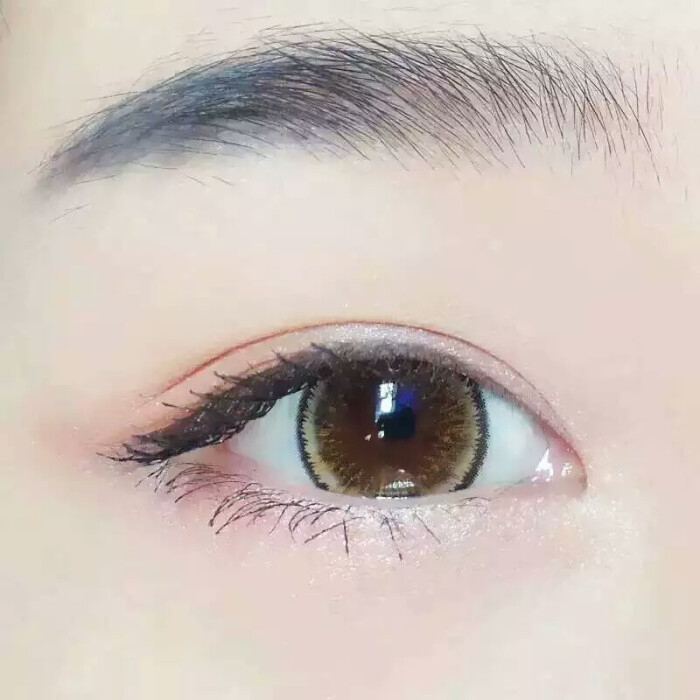 开云电竞官方网站_《三只松鼠》动画首登央视 超级IP为产业全面赋能(图1) 开云电竞官网